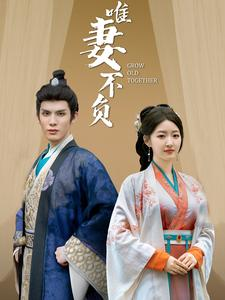 唯妻不负(80集) 唯妻不负(80集)爆款短剧一起追