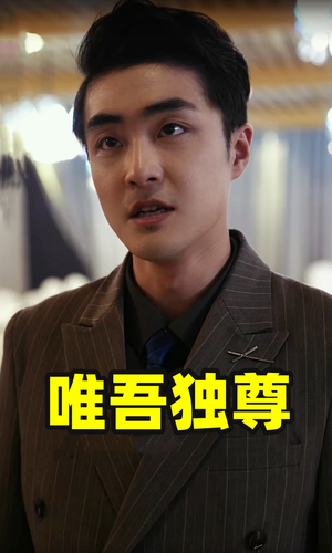 唯吾独尊（96集）免费观看就是爽