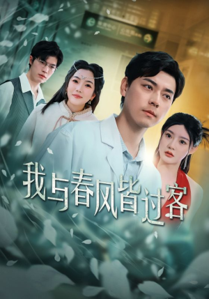 我与春风皆过客（35集）在线免费观影