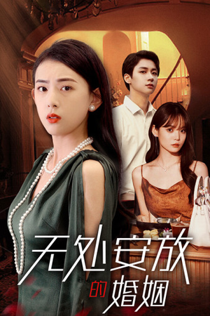 无处安放的婚姻（41集）免费短剧大全
