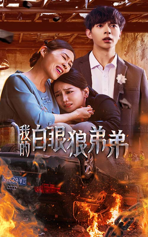 我的白眼狼弟弟（69集）短剧越看越精彩