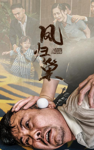 新版：凤归巢（68集）熬夜追短剧