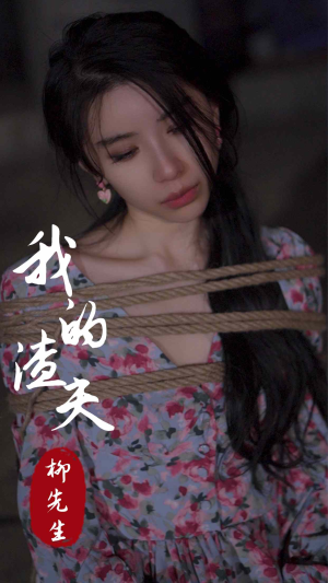 我的渣夫柳先生（80集）在线免费观看