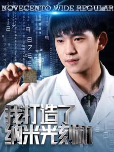 我打造了纳米光刻机（76集）哪个网站可以看