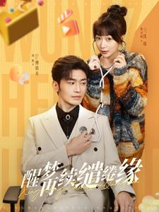 醒梦再续缱绻缘（100集）怎么看全集