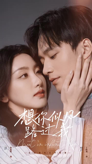 想你似风路过我（40集）排行榜前十短剧