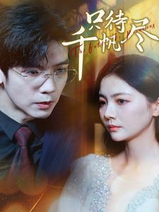 只待千帆尽（40集）解说文案