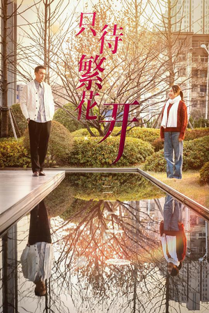 只待繁花开(35集) 只待繁花开(35集)全剧看到大结局