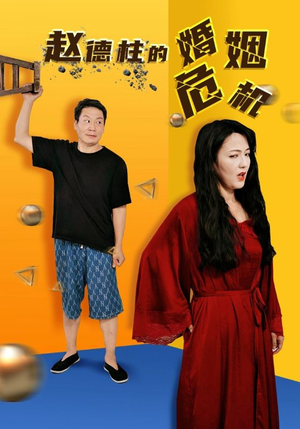 赵德柱的婚姻危机（35集）全集免费观看