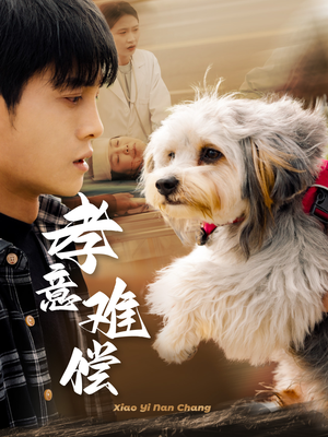 孝意难偿(32集) 孝意难偿(32集)最火爆短剧