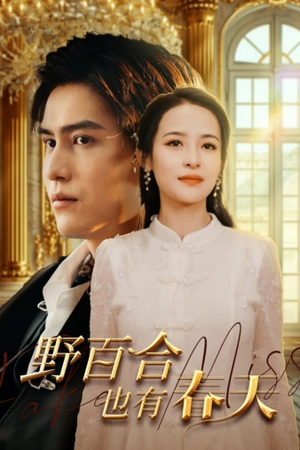 野百合也有春天(85集) 野百合也有春天(85集)爆款短剧一起追