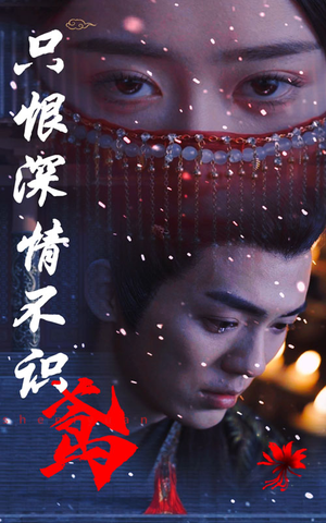 只恨深情不识鸢（83集）精彩的短剧