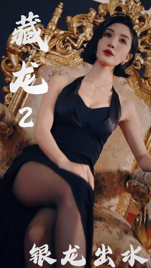 藏龙2银龙出水（35集）热门了短剧