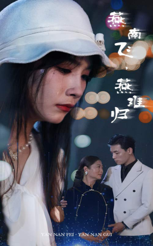 燕南飞，燕难归（31集）最火短剧热播中