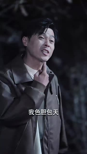 又是一出好戏(60集) 又是一出好戏(60集)最后的大结局