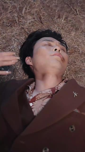 岛上升明月（60集）第二季