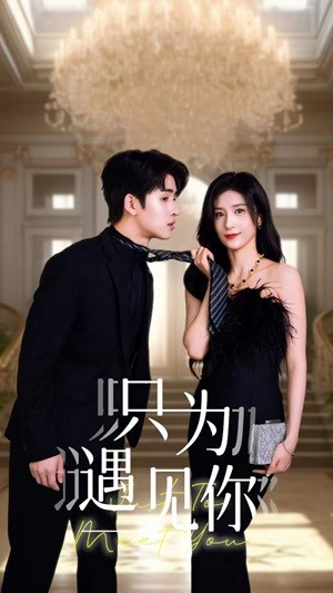 只为遇见你（88集）大结局