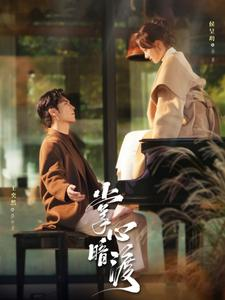 掌心暗渡（69集）真的好看吗