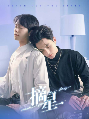 摘星（81集）追短剧关注我