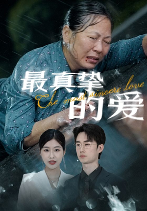 最真挚的爱（76集）分享热门短剧