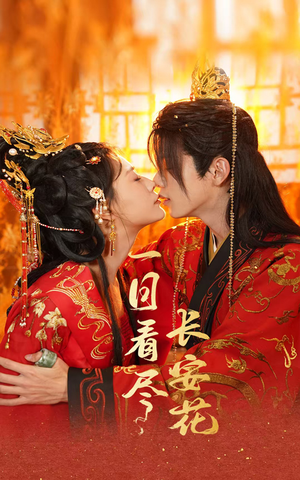 一日看尽长安花（58集）短剧全集免费看
