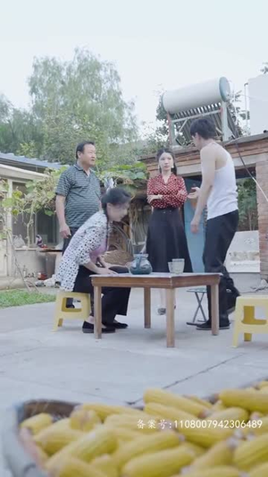 乡间幸福往事(80集) 乡间幸福往事(80集)短剧介绍