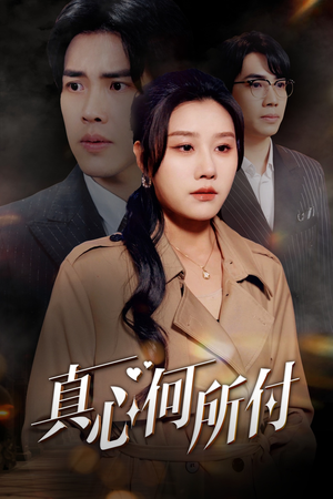 真心何所付（30集）高清无码免费看