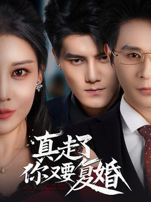 真走了你又要复婚（60集）一个短剧看全集