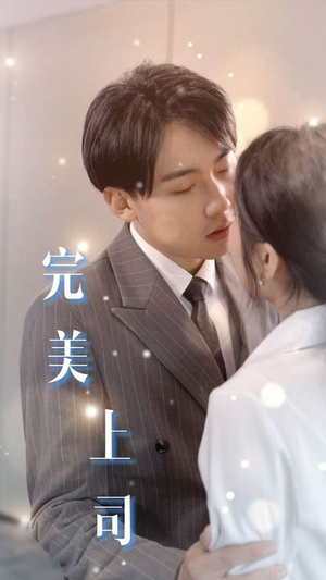 完美上司(30集) 完美上司(30集)全季一次看完