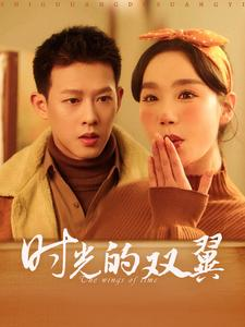 时光的双翼（94集）古装短剧推荐