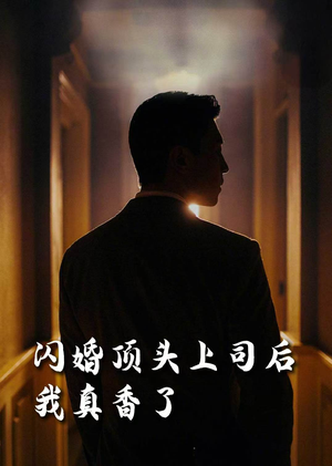 闪婚顶头上司后我真香了（80集）热门了短剧