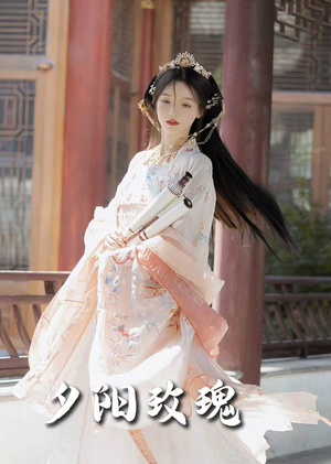 夕阳玫瑰（105集） 看到大结局