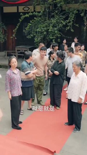 大盗亦有道（52集） 短剧在哪个平台