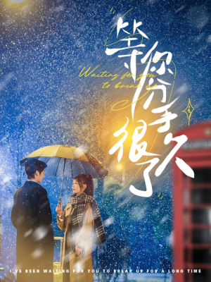 等你分手很久了(86集) 等你分手很久了(86集) 短剧解说全集