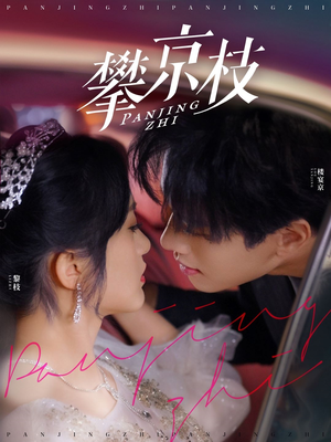 攀京枝（80集） 最火短剧推荐