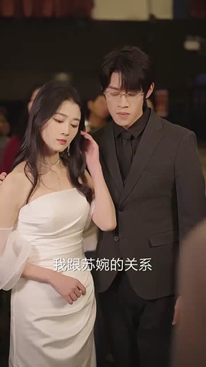 曲终人散情不复（35集） 解说