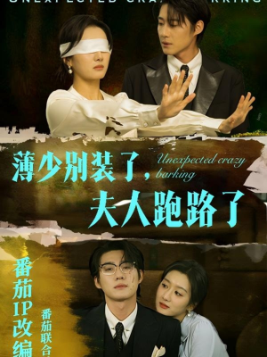 薄少别装了夫人跑路了（60集） 短剧太上头了