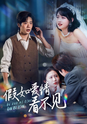 假如爱情看不见（55集） 看到大结局