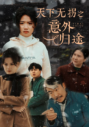 天下无拐之意外归途（61集） 最近很火的短剧