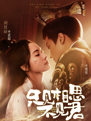 只见相思不见君（82集） 短剧在哪里看