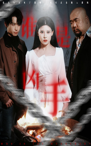 谁是凶手（31集） 网盘在线观看