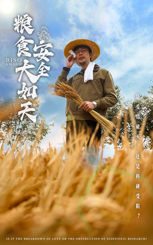 粮食安全大如天（43集） 爆款短剧追不停