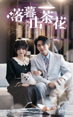 落幕山茶花（50集） 在哪里可以看