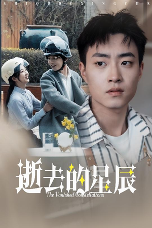 逝去的星辰（31集） 哪个短剧网能看