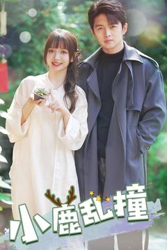 小鹿乱撞（40集） 在线观看完整版