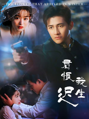 司令府就是我的家(60集) 司令府就是我的家(60集) 古代短剧推荐