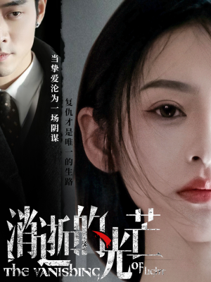 消逝的光芒(55集) 消逝的光芒(55集) 全剧看到大结局