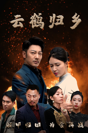 云鹤归乡（65集） 精彩短剧来袭