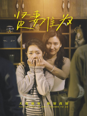 贤妻难为（30集） 追风的女孩短剧