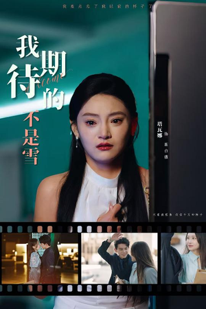 我期待的不是雪(30集) 我期待的不是雪(30集)让你一口气看完